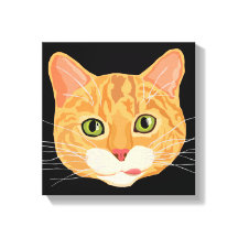 Cute Orange Cat Ansikte Illustration
