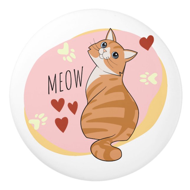 Cute orange cat knopp (Framsidan)