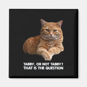 Cute Orange Cat Magnet