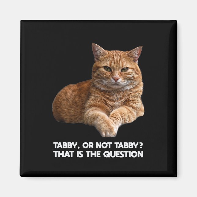 Cute Orange Cat Magnet (Framsidan)