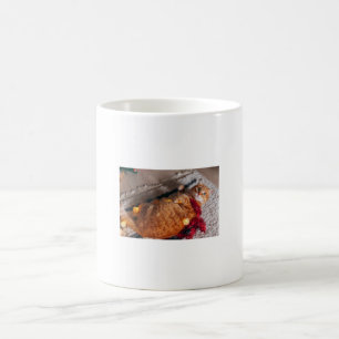 Cute Orange Cat Mugg