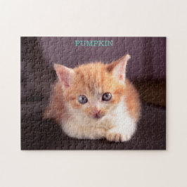 Cute Orange Cat på svart ottomansk Orange Kitten Pussel