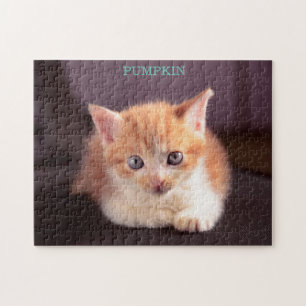 Cute Orange Cat på svart ottomansk Orange Kitten Pussel