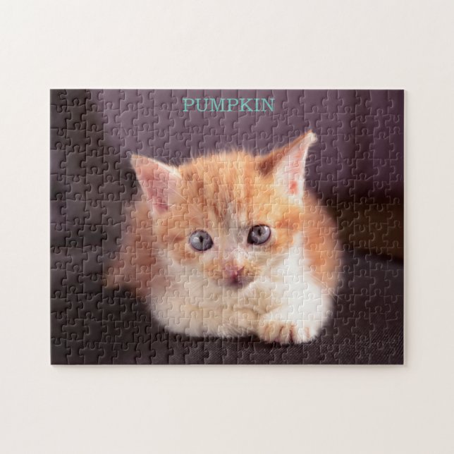 Cute Orange Cat på svart ottomansk Orange Kitten Pussel (Horisontell)