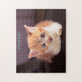 Cute Orange Cat på svart ottomansk Orange Kitten Pussel