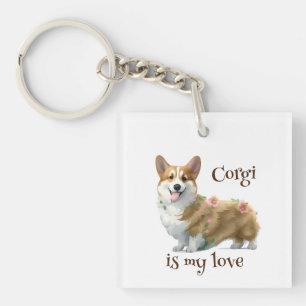 Cute Orange corgi för positivt humör