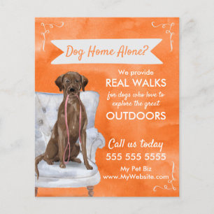 Cute Orange Dog Walker Flyer med Swirls Banner