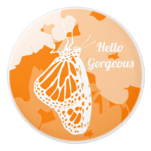 Cute Orange Hej Gorgous Monarch Butterfly