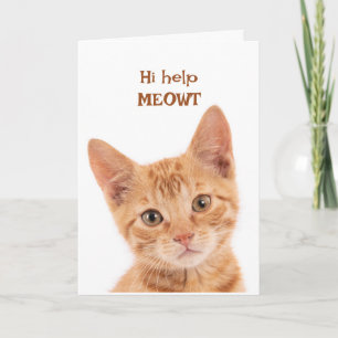 Cute Orange Kitten Hi Hur mår du? Kort
