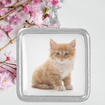 Cute Orange Kitten Photo Silverpläterat Halsband<br><div class="desc">Visa upp kärlek för vänner i håriget med det här fina halsbandet i anpassningsbarna med ett sött, orange kattunge-foto. I ett glansigt ram med silver-ton och en passande kedja gör det här charmerande biet en purfekt gåva till kattälskare, sällskapsdjur mammor eller någon som berömmer söta och fega sällskap. Vare sig...</div>