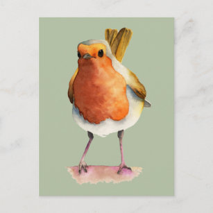 Cute Orange Robin Bird Watercolor Art Vykort