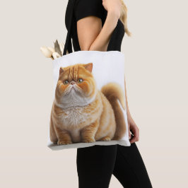 CUTE ORANGE WHITE EXOTIC SHORTHAIR TECKNAD CAT TYGKASSE