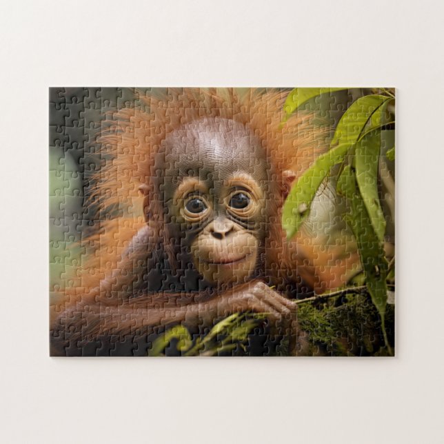 Cute Orangutan baby Pussel (Horisontell)