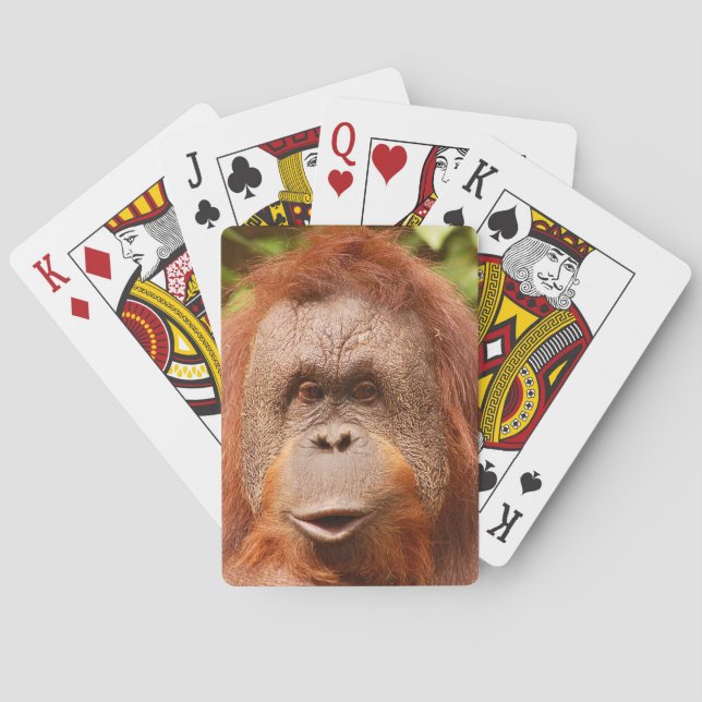 Cute orangutan casinokort (Baksidan)
