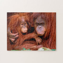 Cute Orangutan Mamma och Baby, Jigszawa Puzzle Pussel