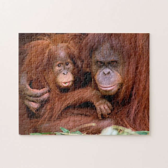 Cute Orangutan Mamma och Baby, Jigszawa Puzzle Pussel (Horisontell)
