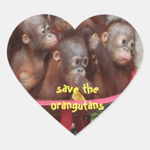 Cute Orangutan Spädbarn Hjärtformat Klistermärke