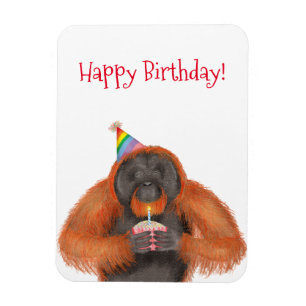 Cute orangutans födelsedagsmagnet magnet