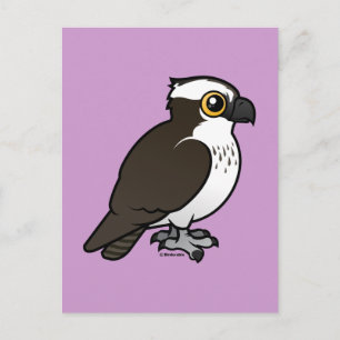 Cute Osprey Vykort