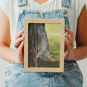 Cute Östra Grått-ekorren på Träd Fototryck