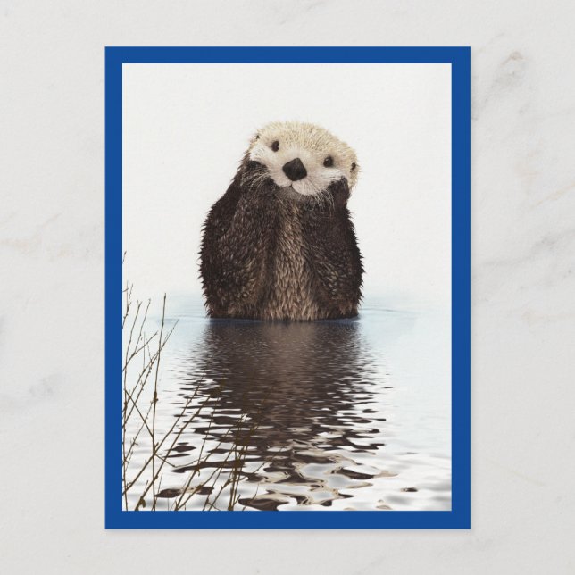 Cute Otter Animal Blue Vykort (Framsida)