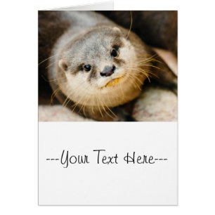 Cute Otter, Animal Porträtt, Naturfoto Hälsningskort
