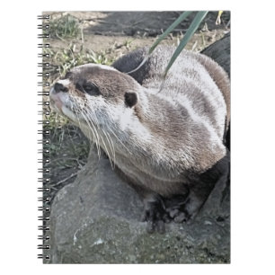CUTE OTTER ANTECKNINGSBOK