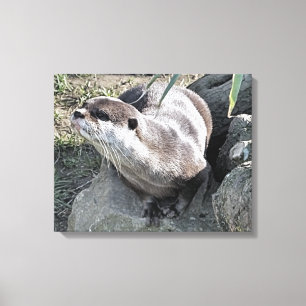 CUTE OTTER CANVASTRYCK
