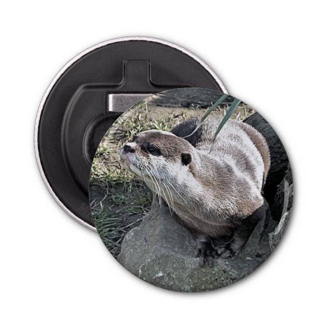 CUTE OTTER FLASKÖPPNARE (Framsidan)