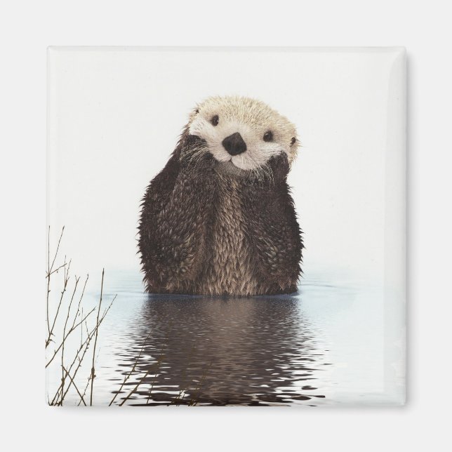 Cute Otter Wildlife-bild Magnet (Framsidan)