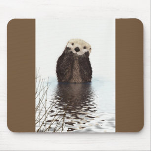 Cute Otter Wildlife-bild Musmatta