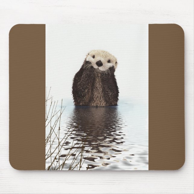 Cute Otter Wildlife-bild Musmatta (Framsidan)