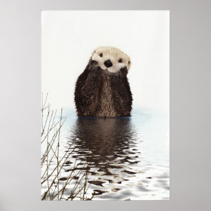 Cute Otter Wildlife-bild Poster