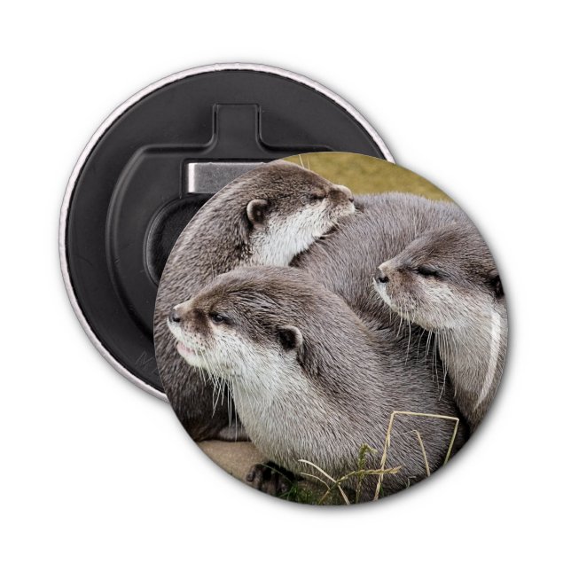 CUTE OTTERS-knapp, flasköppnare (Framsidan)