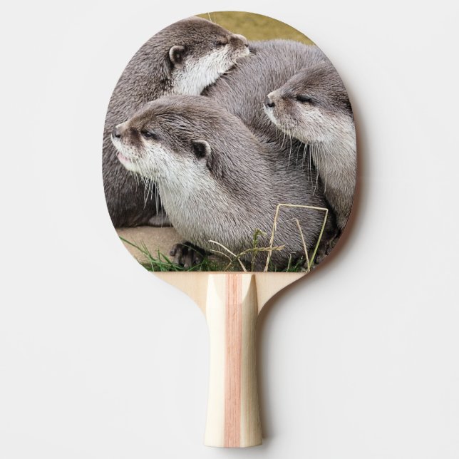 CUTE OTTERS PINGISRACKET (Framsidan)