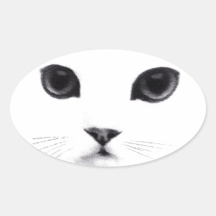 Cute Oval Kattunge Ansikte Ovalt Klistermärke