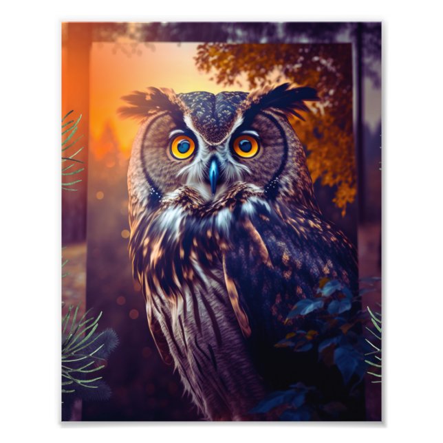 Cute Owl in Forest Nature Wildlife Bird Animal Fototryck (Framsidan)