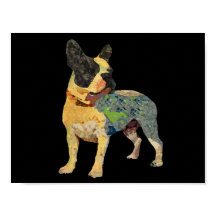 Cute Paded Fransk Bulldog