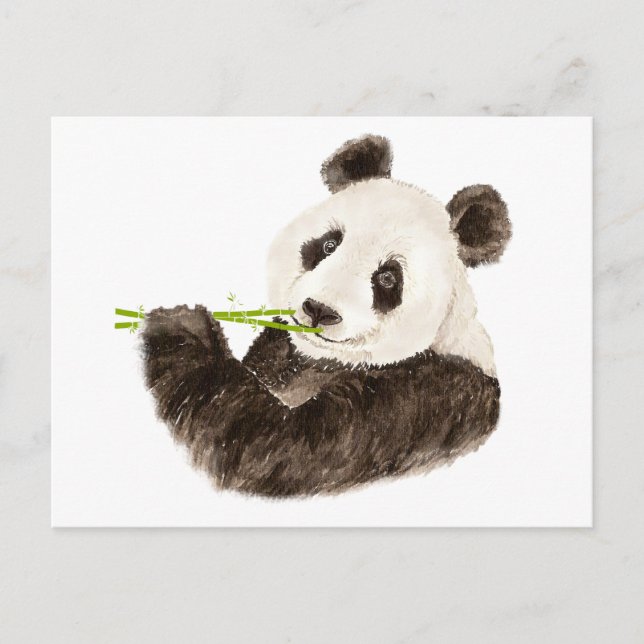 Cute Panda, asiatiskt björn, vattenfärgsdjur Vykort (Framsida)