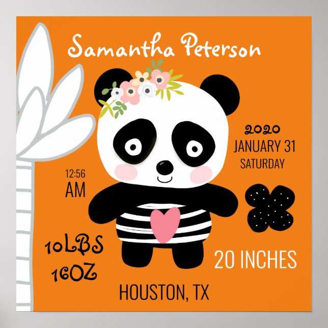 Cute Panda Birth Notice of Poster (Framsidan)