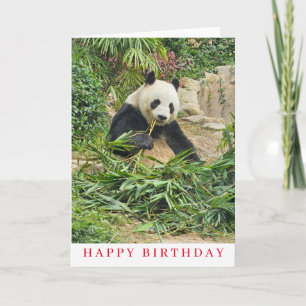 Cute panda-matfödelsedagskort kort