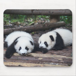 Cute Panda Spädbarn Mouse Pad Musmatta