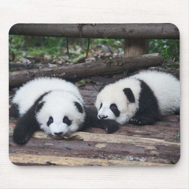 Cute Panda Spädbarn Mouse Pad Musmatta (Framsidan)