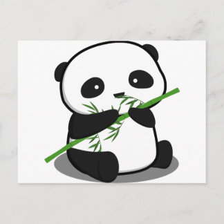 Cute Panda Vykort
