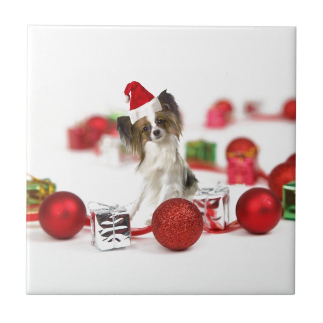 Cute Papillon Hund jultomten Hat Kakelplatta (Framsidan)