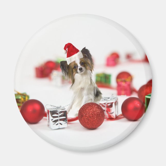 Cute Papillon Hund jultomten Hat Magnet (Framsidan)