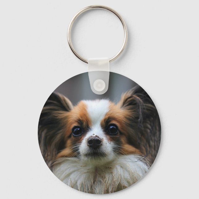 Cute papillon hund nyckelring (Framsida)