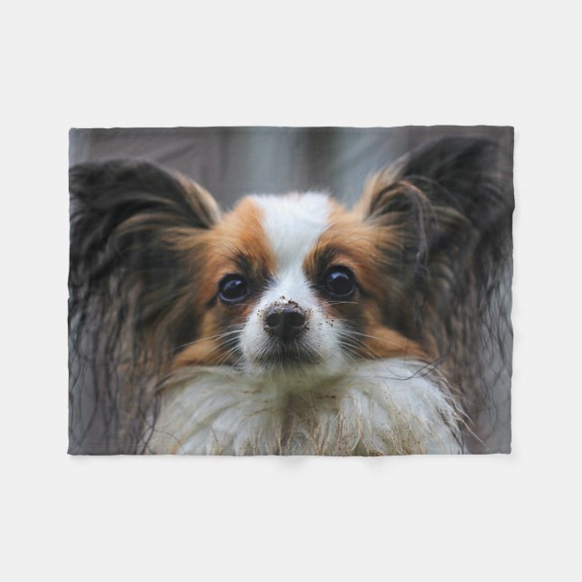 Cute Papillon Leksak Spansk Hund Photography Print Fleecefilt (Framsidan (Horisontell))