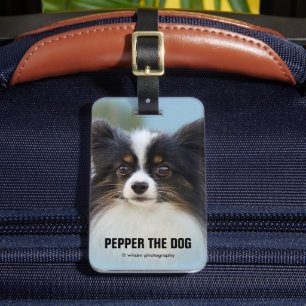 Cute Papillon Leksak Spanska Hund vid Dock Bagagebricka