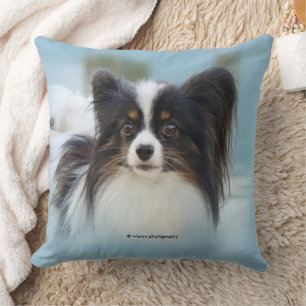 Cute Papillon Leksak Spanska Hund vid Dock Kudde